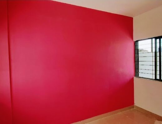 Palace Painting contractor