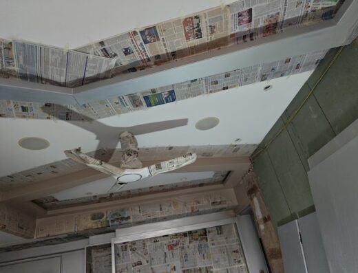 Pune Painter